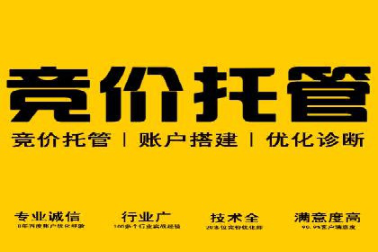 竞价端口开户后的广告投放策略案例
